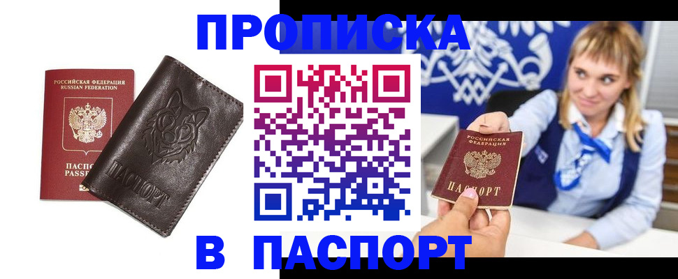 где прописаться в Струнино